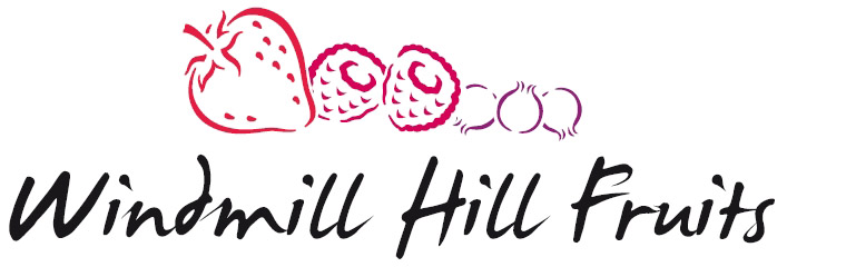Windmill Hill Fruits